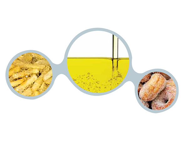 FT-NIR spectroscopy is  Monitoring of Frying Fats and Oils