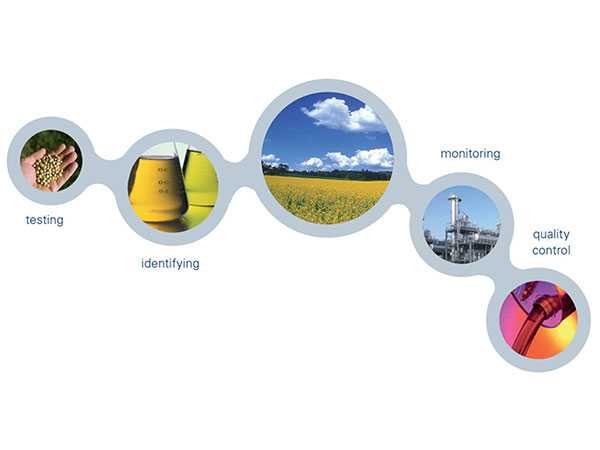 Spectroscopic Solutions for the Biodiesel Industry