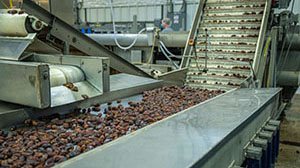 Syntech Innovation Product