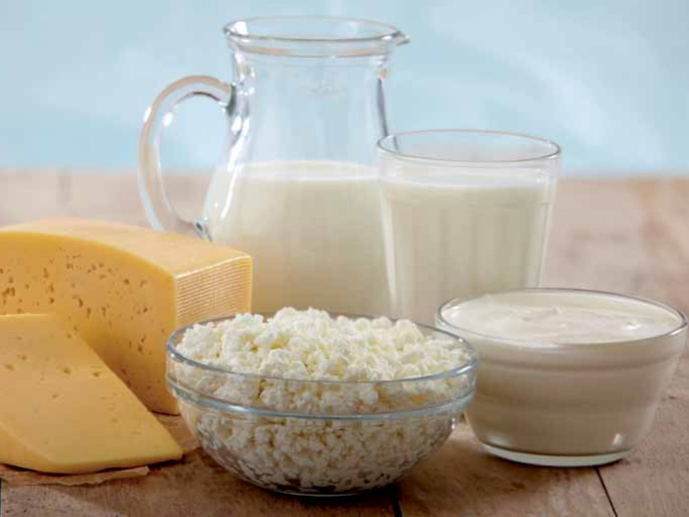 FT-NIR Spectroscopy for the Analysis of Milk and Dairy Products