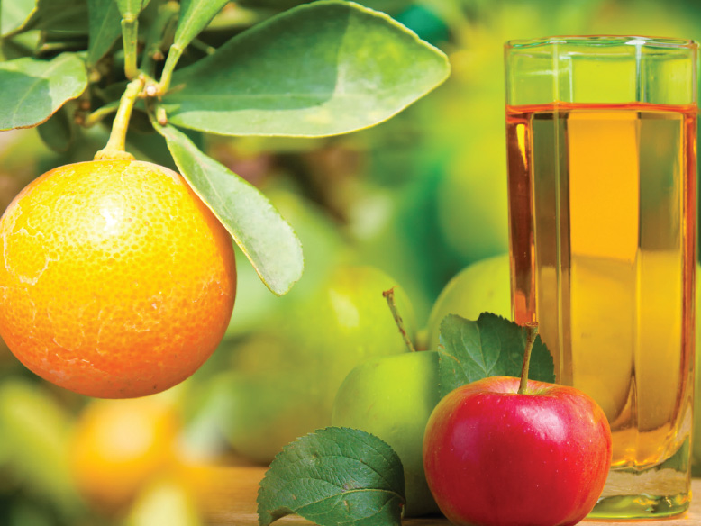 Fruit Juice Quality Control NMR-Based JuiceScreener™ for SGF Profiling™